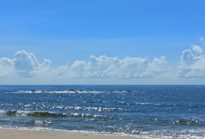 ​男生温柔的游戏名字骚气搞笑（搞笑男生温柔的游戏名字）