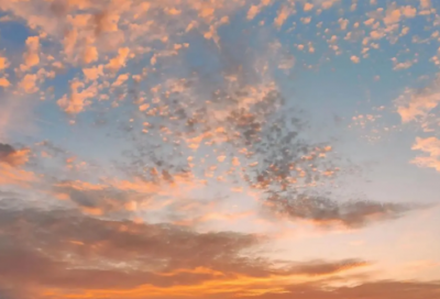 ​lol字的游戏名字个2024（比较有个性的lol字的游戏名字个）