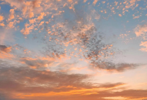 1709860437420498.png image.png