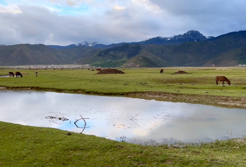 1709861597990225.png image.png