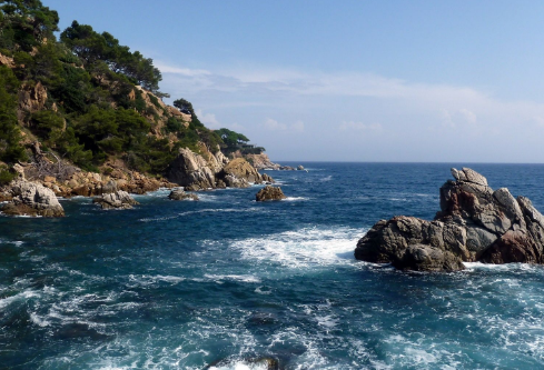 1709871210441951.png image.png