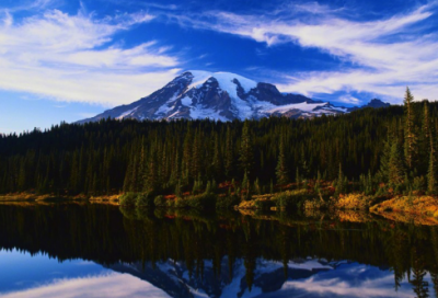 ​倩女幽魂字游戏名字个最新（搞笑倩女幽魂字游戏名字个）