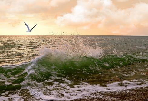 1709881486529709.png image.png