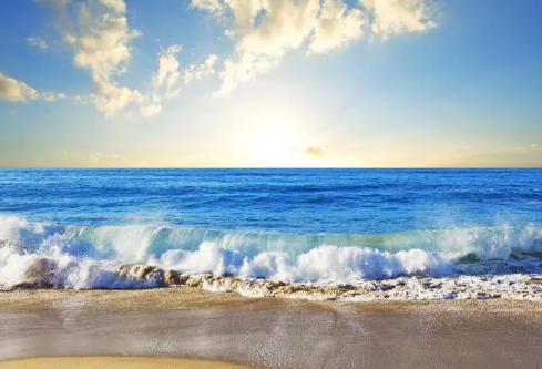 1709881652978892.png image.png