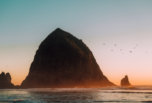 1709881984939167.png image.png