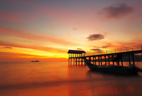 1709888117631172.png image.png