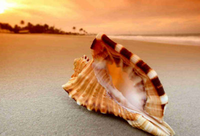 ​古代帮派名字大全游戏昵称（鬼才古代帮派名字大全）