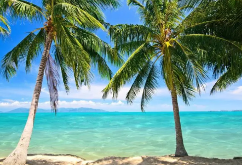 1709889610842213.png image.png