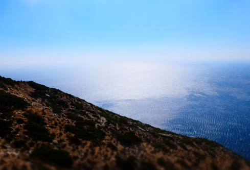 1709889941849981.png image.png