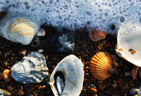 1709890936334617.png image.png