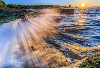 ​我的起源诗意两字游戏名字个最新（又怂又可爱的我的起源诗意两字游戏名字个）