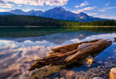 ​游戏名字大全古风字个免费（搞笑游戏名字大全古风字个）