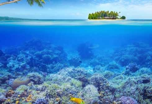 1709896407725647.png image.png