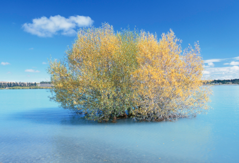 1709898893791814.png image.png