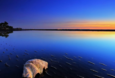 1709899557752368.png image.png