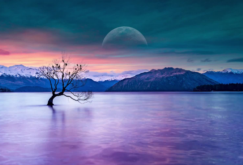 1709899888273395.png image.png