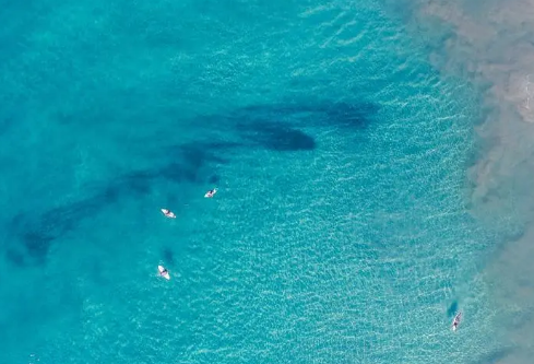 1709902375176552.png image.png