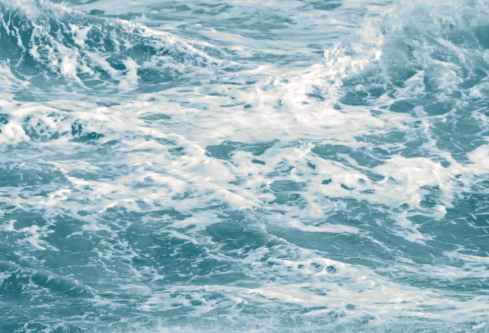 1709902541812726.png image.png