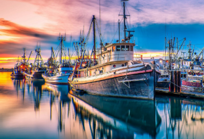 ​街头篮球字游戏名字个推荐（逗比的街头篮球字游戏名字个）