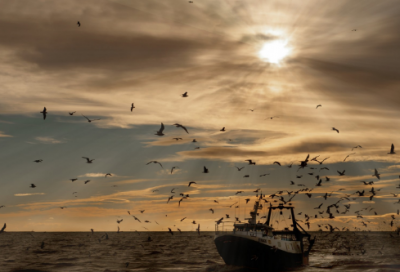 ​游戏里好听的名字大全（比较有个性的游戏里好听的名字）