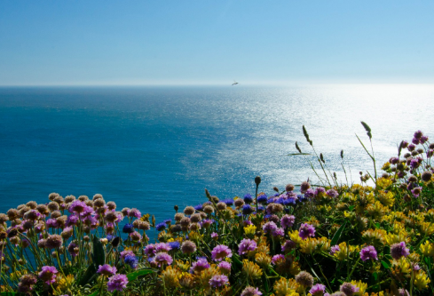 1709904696179303.png image.png