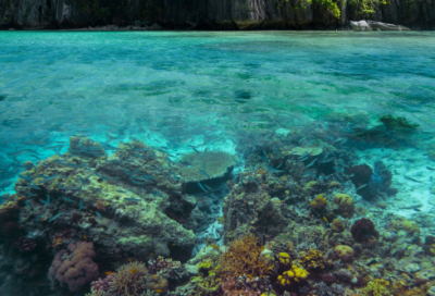 ​游戏名字符号大全骚气（搞笑游戏名字符号大全）