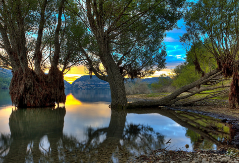 1709906852353938.png image.png