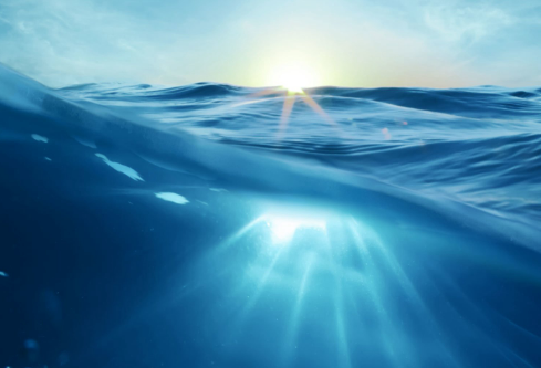 1709911661299478.png image.png