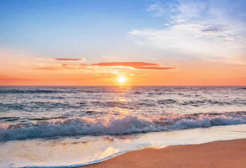 1709913982596952.png image.png