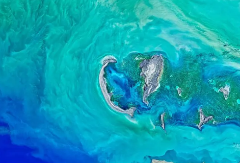 1709916967726048.png image.png