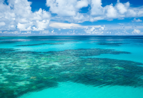 1709917299914971.png image.png