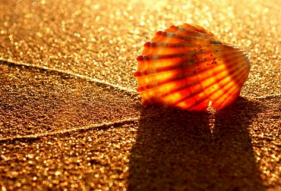 ​游戏家族名字（最红网络游戏家族名300名）