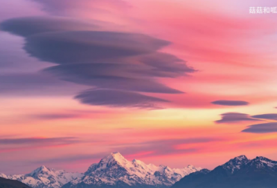 ​好听网名仙气游戏昵称（又怂又可爱的好听网名仙气）