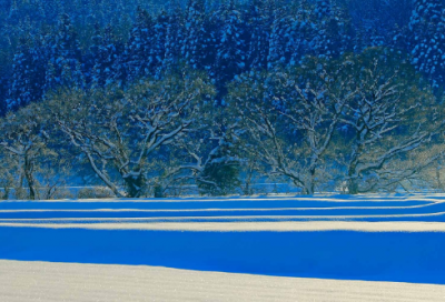 ​有品味的游戏名字2024（经典有品味的游戏名字）