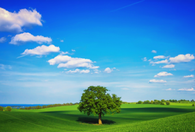 ​心累了的伤感微信名字游戏昵称（小众干净的心累了的伤感微信名字）