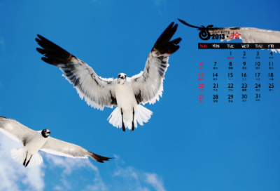 ​王者荣耀游戏名字骚气搞笑（冷酷霸气王者荣耀游戏名字）