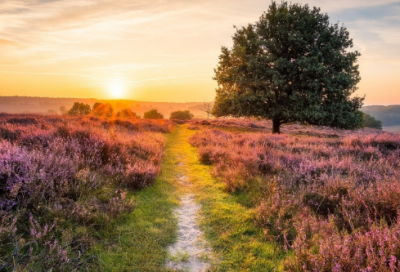 ​霸气超拽的男生游戏昵称名字大全独一无二（逗比的霸气超拽的男生游戏昵称名字