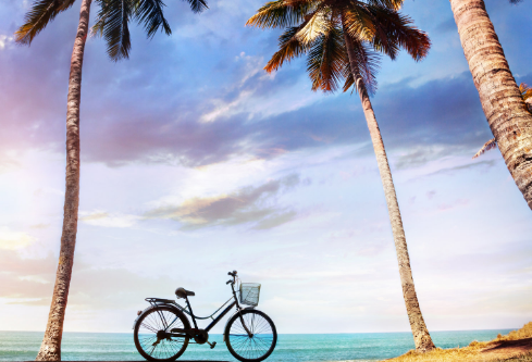 1709929731824588.png image.png