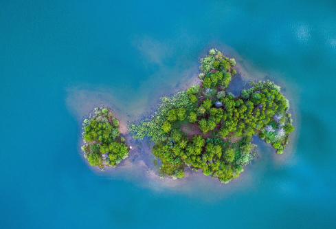 1709932218253951.png image.png