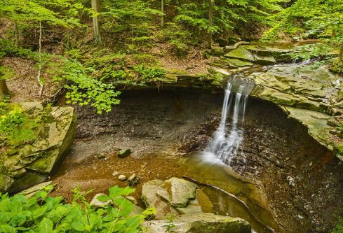 1709935034195036.png image.png