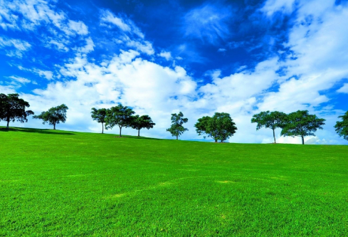 1709935366893428.png image.png