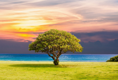 ​古典文雅的游戏网名简约昵称（好听稀少古典文雅的游戏网名）