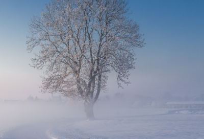 ​时髦霸气的游戏男名字简短好听（搞怪时髦霸气的游戏男名字）