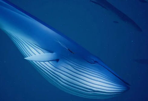 1709939673991569.png image.png