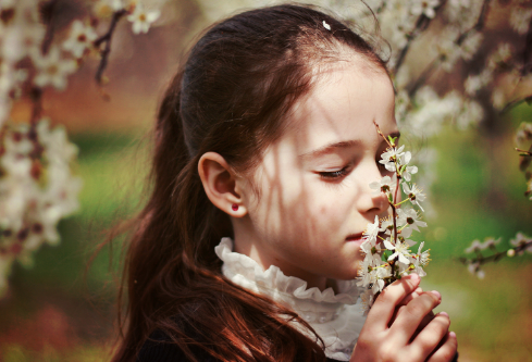 1711497907971542.png image.png