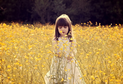 1711500066732529.png image.png