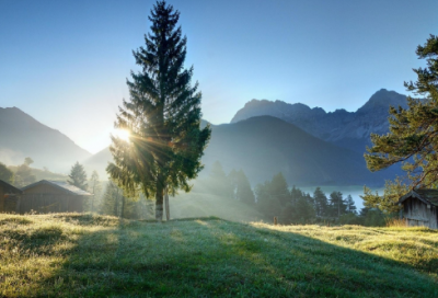 ​小学二年级数学下册教学计划
