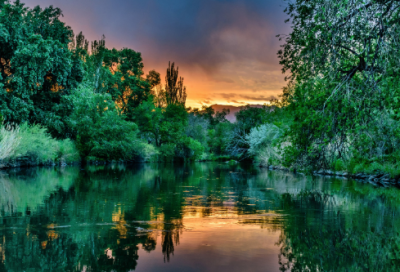 ​七年级语文教学计划