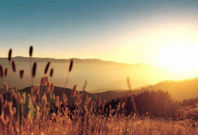 ​四年级上册数学教学计划