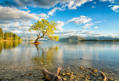 ​八年级下册数学教学计划